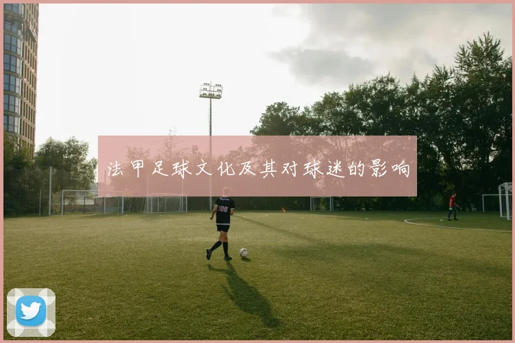 法甲足球文化及其对球迷的影响